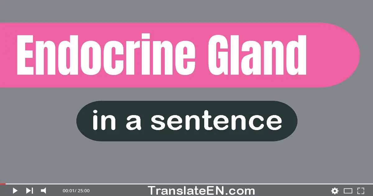 Endocrine Gland in a sentence