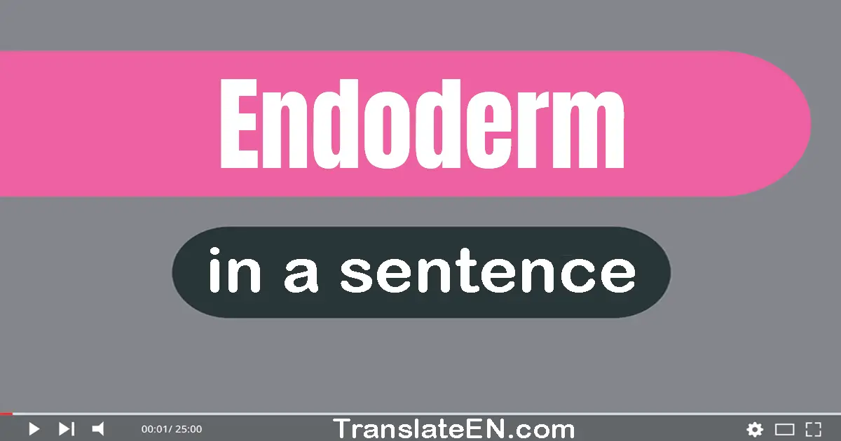 Endoderm in a sentence