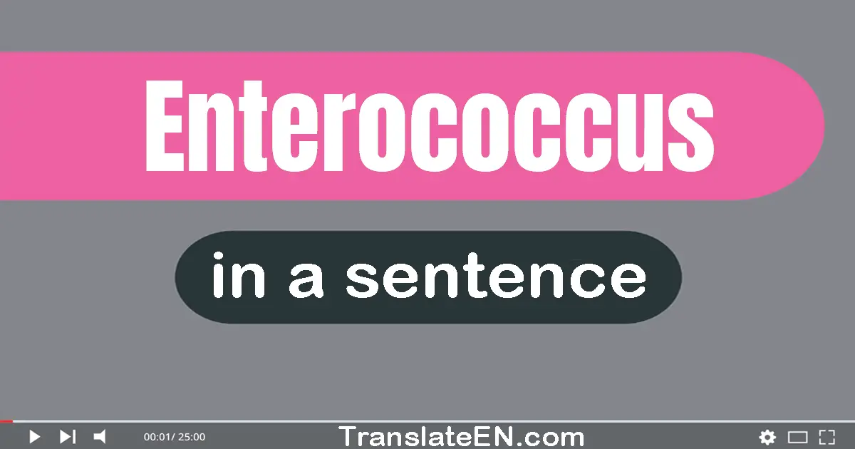 Enterococcus in a sentence