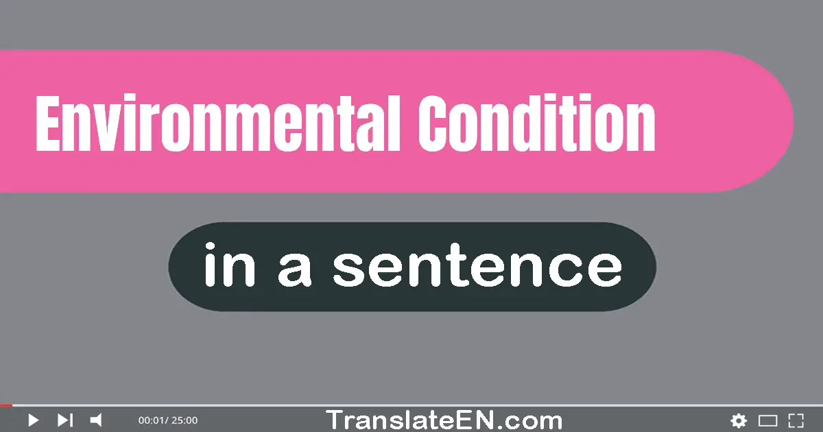 Environmental Condition in a sentence