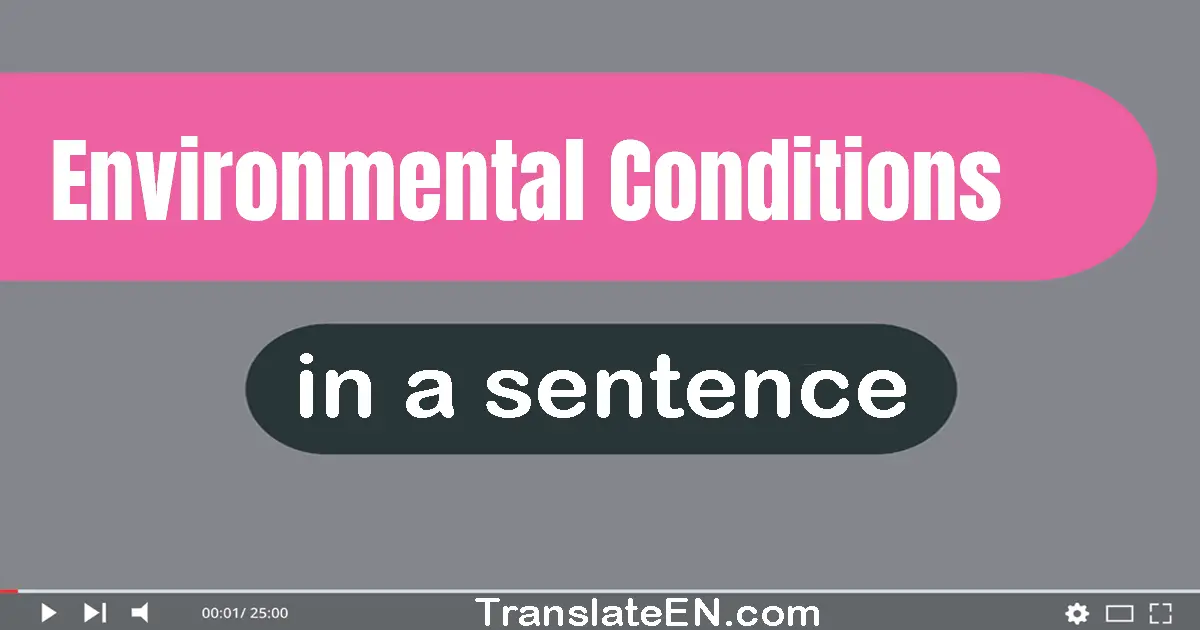 Environmental Conditions in a sentence