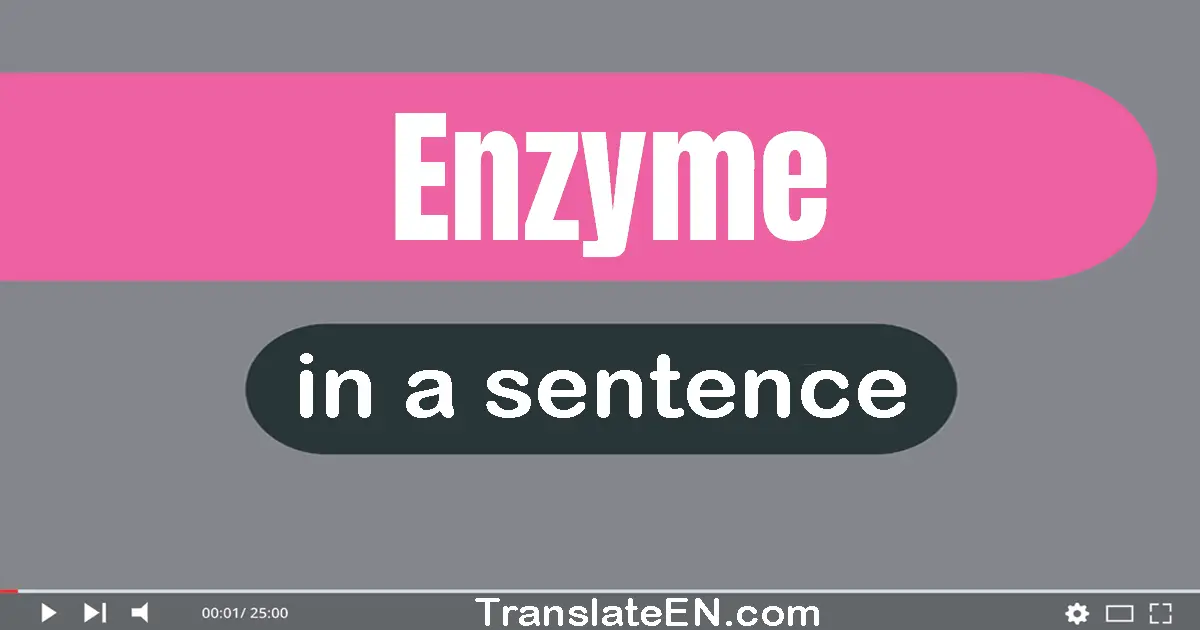 Enzyme in a sentence