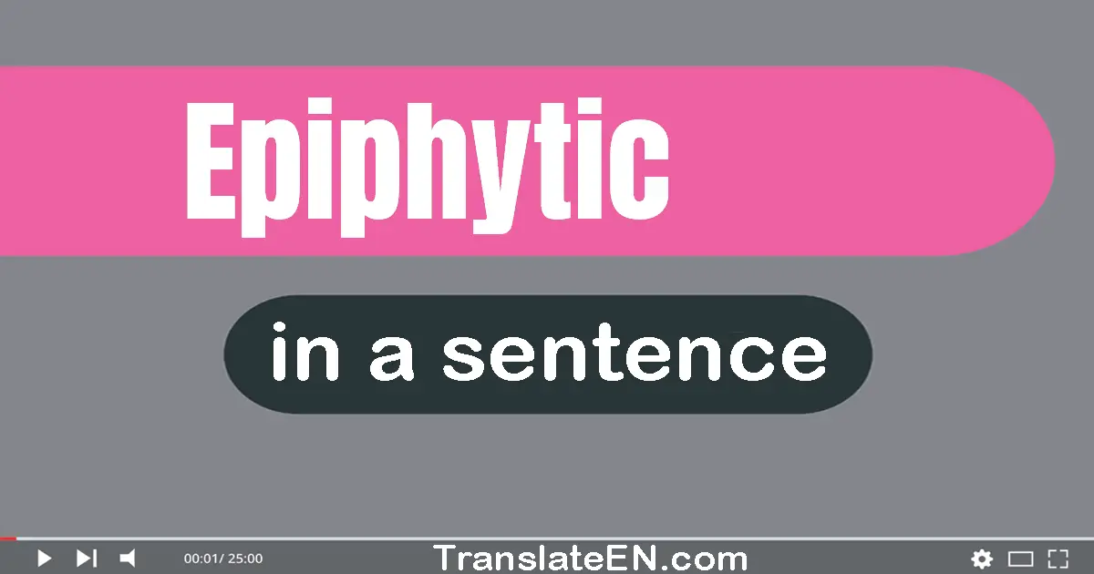 Epiphytic in a sentence