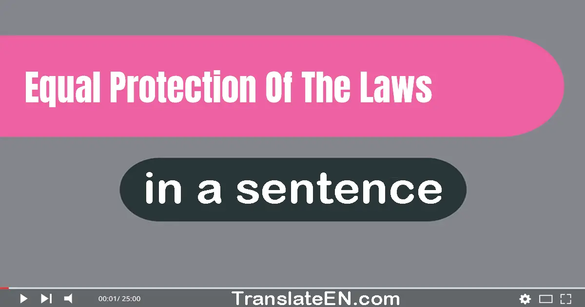 Use "equal protection of the laws" in a sentence | "equal protection of the laws" sentence examples
