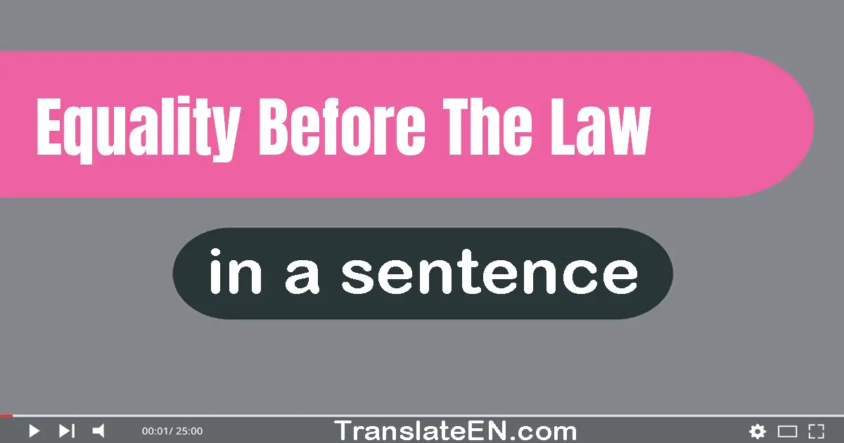 Use "equality before the law" in a sentence | "equality before the law" sentence examples