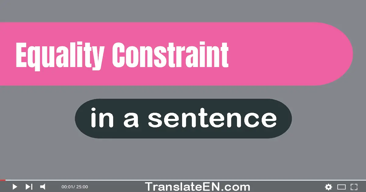 Use "equality constraint" in a sentence | "equality constraint" sentence examples