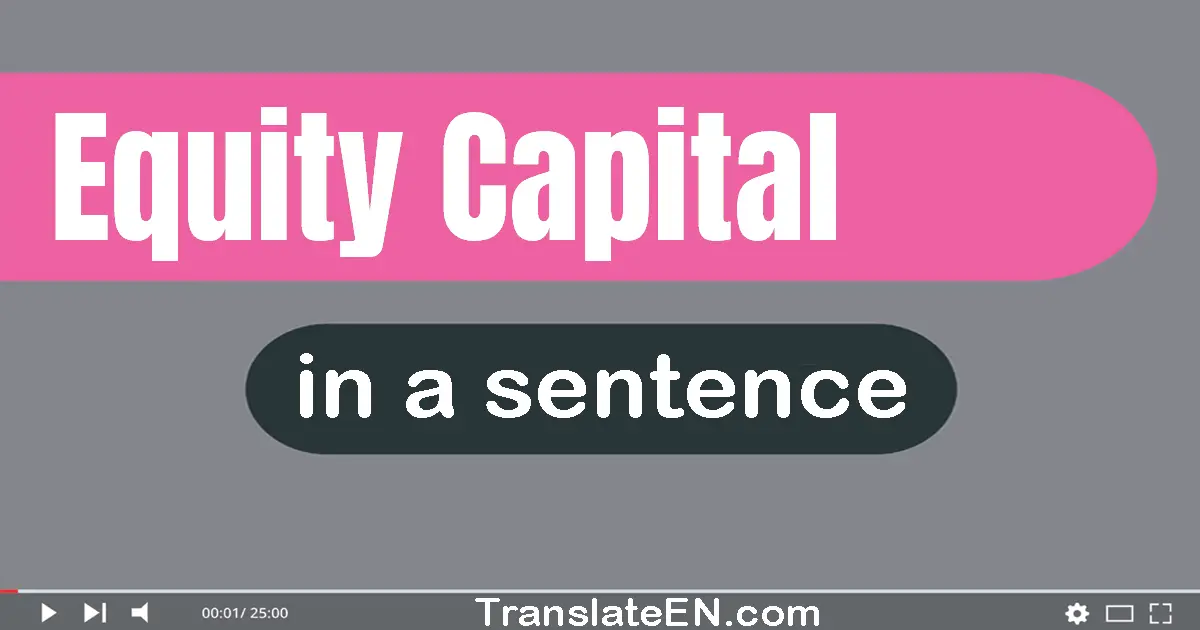 Use "equity capital" in a sentence | "equity capital" sentence examples