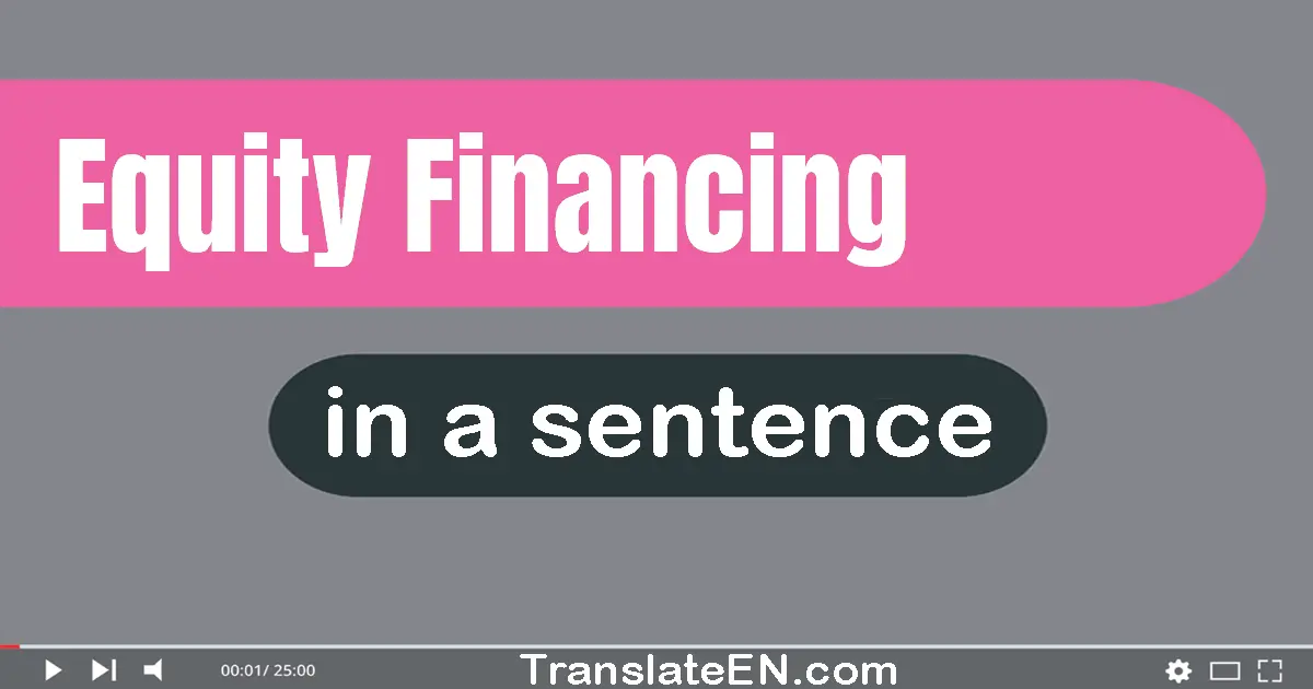 Use "equity financing" in a sentence | "equity financing" sentence examples
