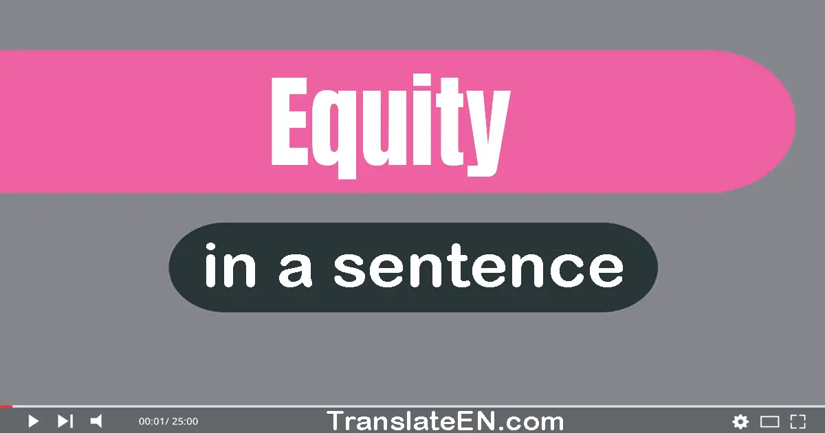 Use "equity" in a sentence | "equity" sentence examples