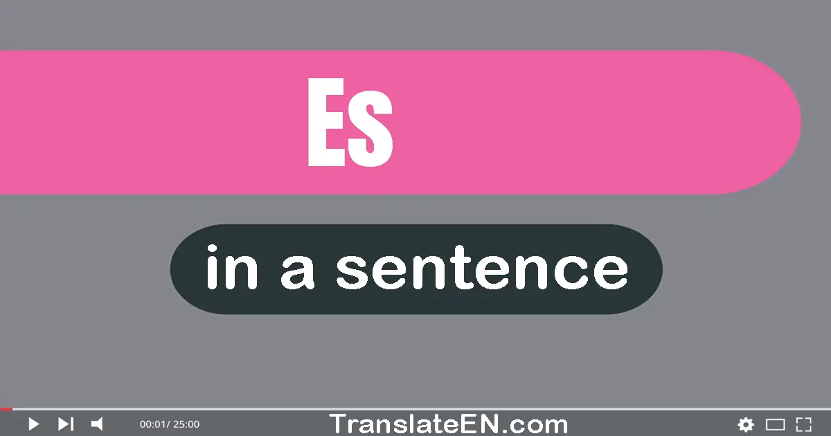 Es in a sentence