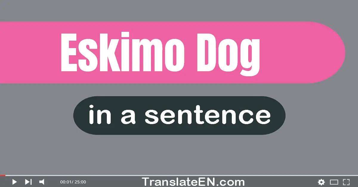 Eskimo Dog in a sentence