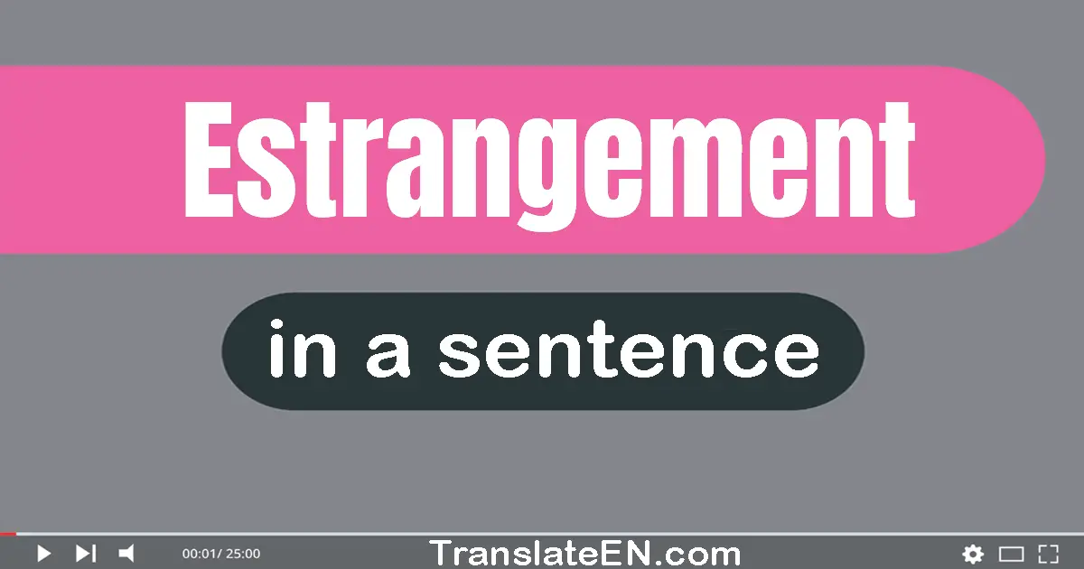 Use "estrangement" in a sentence | "estrangement" sentence examples