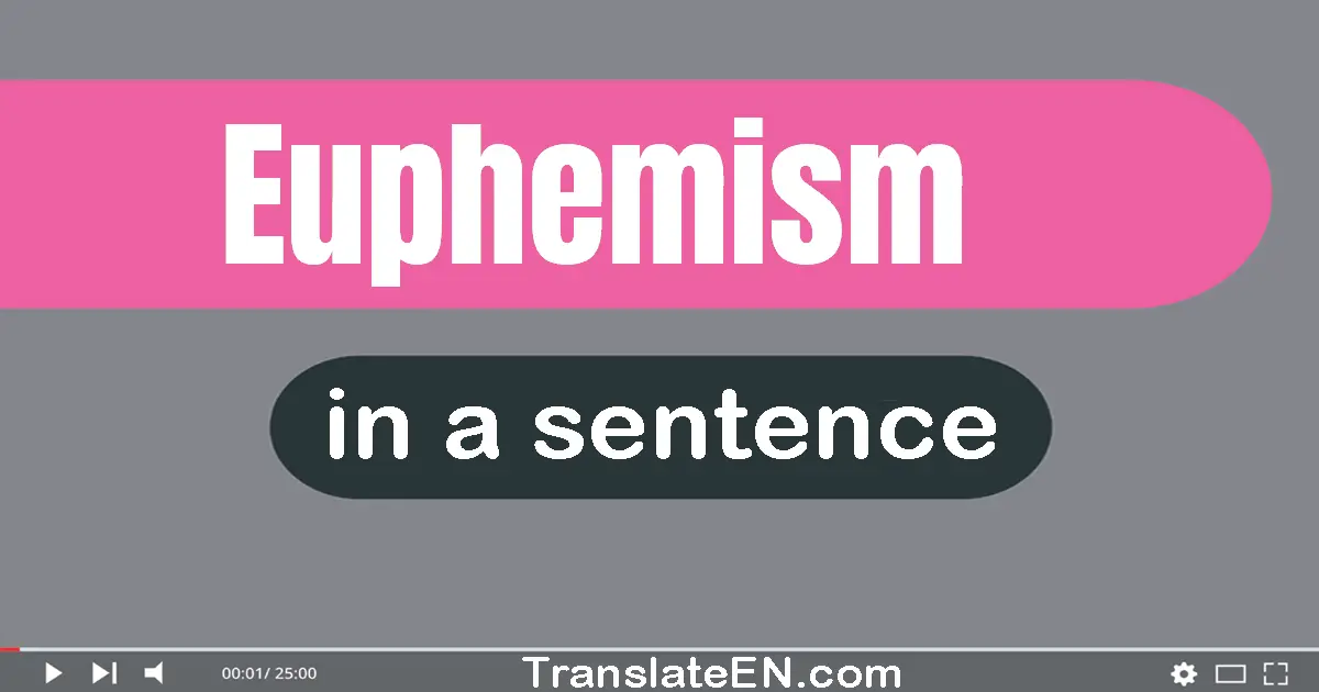 Use "euphemism" in a sentence | "euphemism" sentence examples