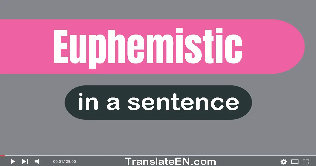 Use "euphemistic" in a sentence | "euphemistic" sentence examples