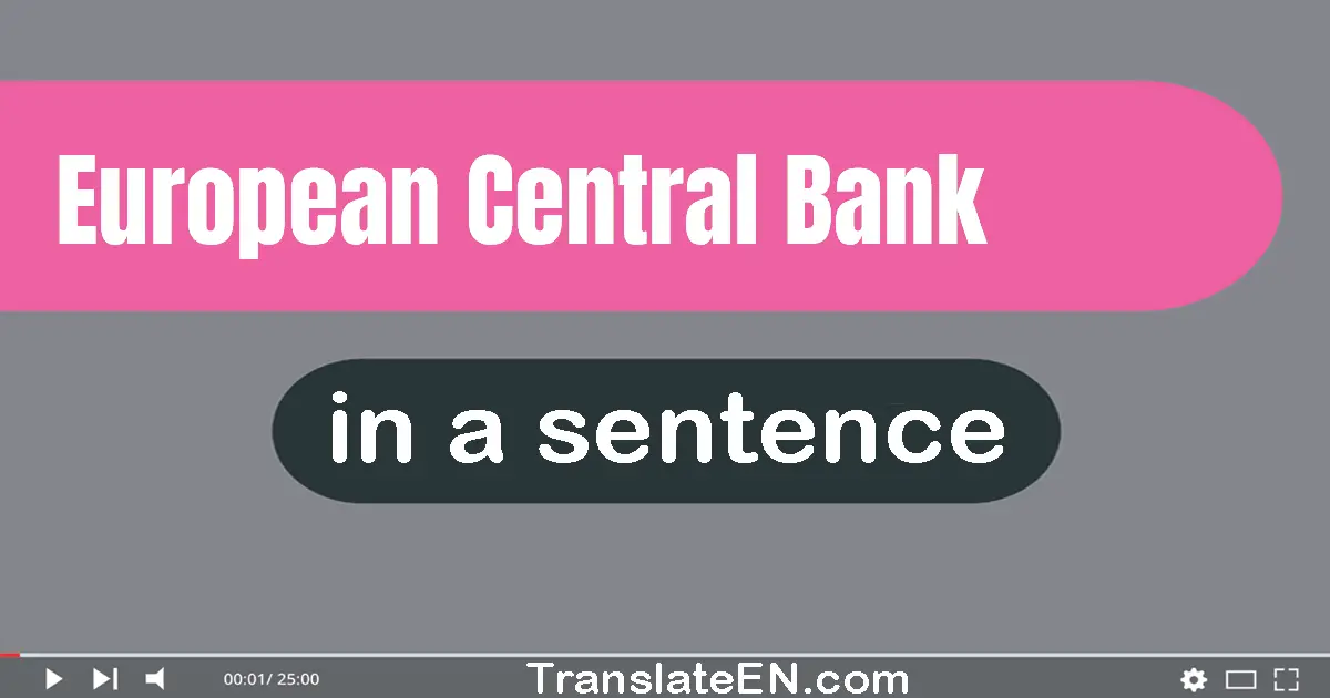 Use "european central bank" in a sentence | "european central bank" sentence examples