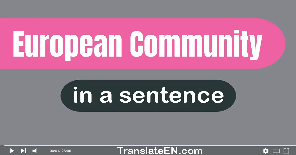 Use "european community" in a sentence | "european community" sentence examples