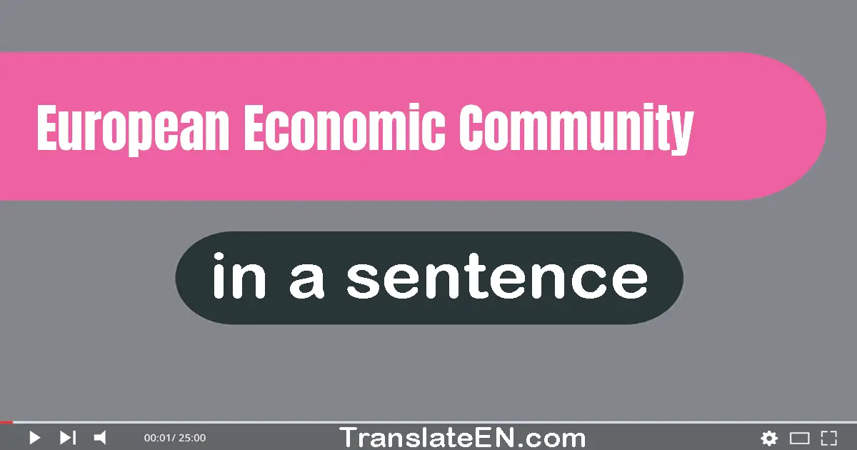 Use "european economic community" in a sentence | "european economic community" sentence examples