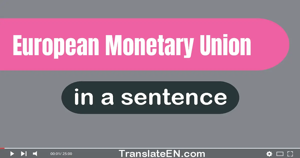 Use "European monetary union" in a sentence | "European monetary union" sentence examples
