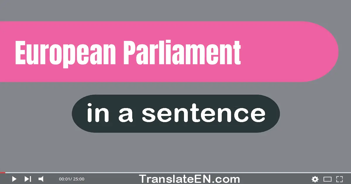 Use "European parliament" in a sentence | "European parliament" sentence examples