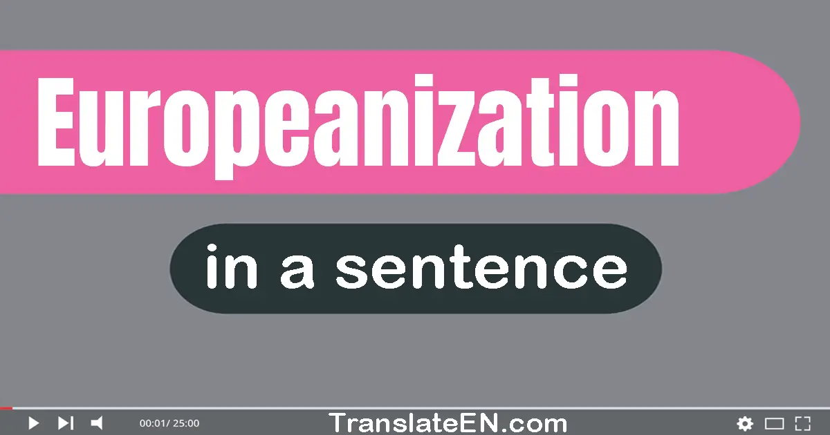 Use "europeanization" in a sentence | "europeanization" sentence examples