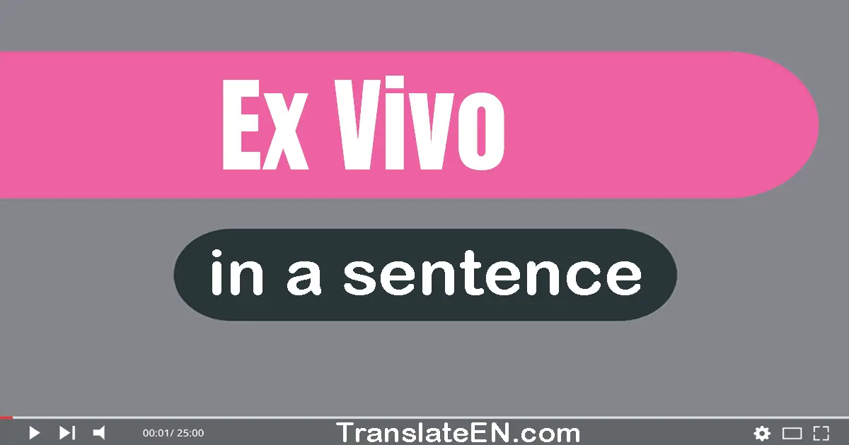 Ex Vivo in a sentence