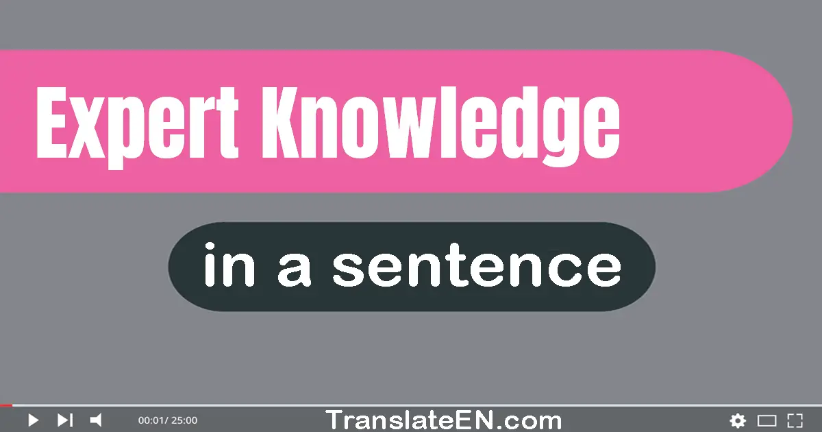 Expert Knowledge in a sentence