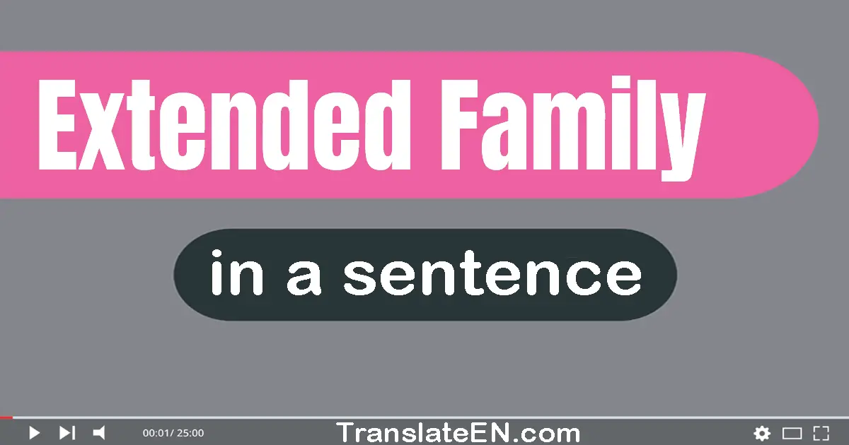 Use "extended family" in a sentence | "extended family" sentence examples
