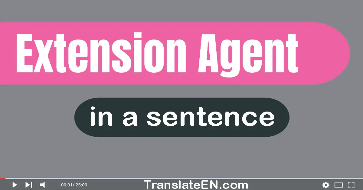 Use "extension agent" in a sentence | "extension agent" sentence examples