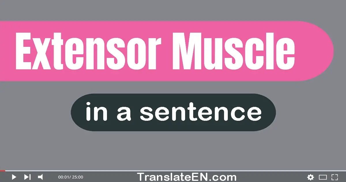 Extensor Muscle in a sentence