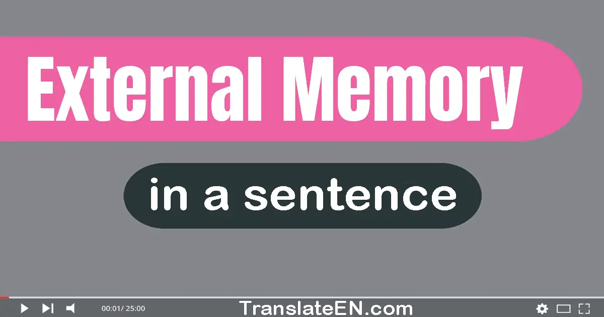 External Memory in a sentence