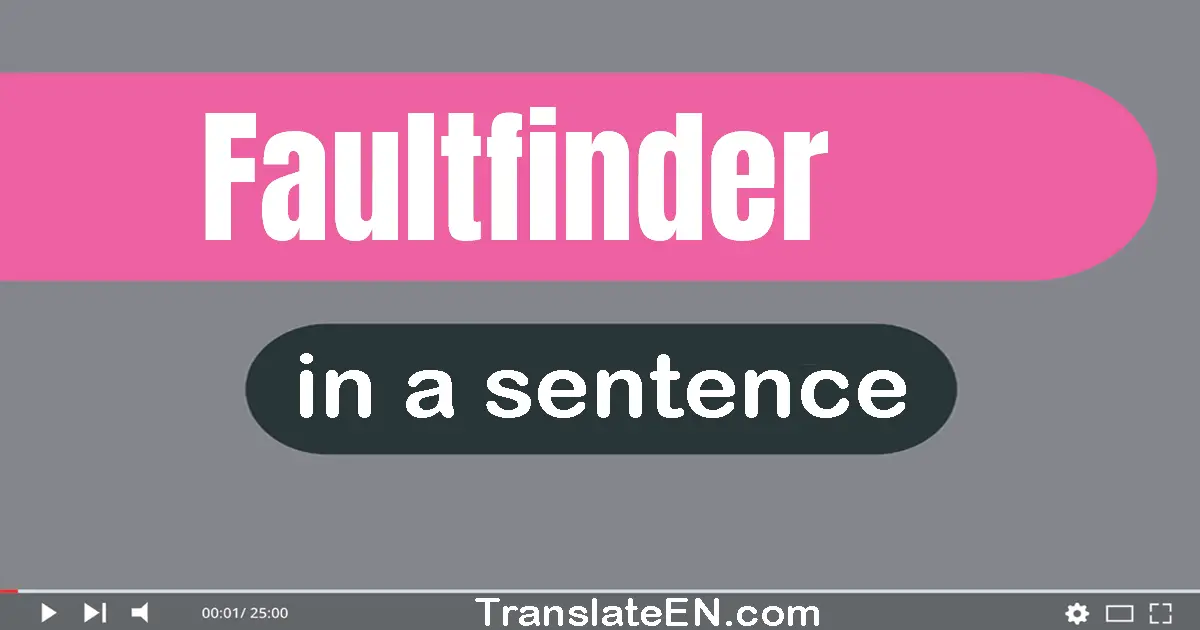 Use "faultfinder" in a sentence | "faultfinder" sentence examples