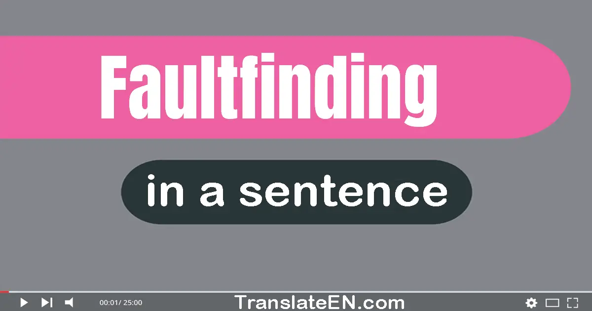 Use "faultfinding" in a sentence | "faultfinding" sentence examples