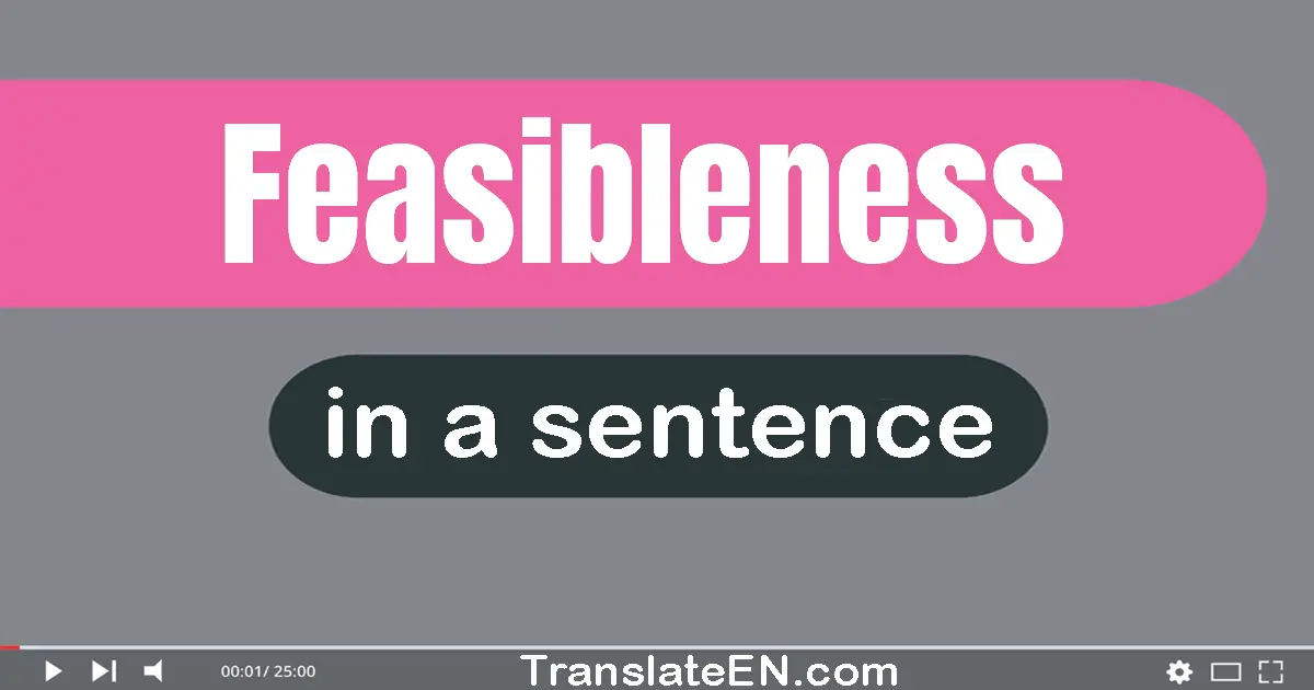 Feasibleness in a sentence