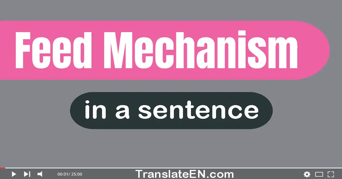 Feed Mechanism in a sentence