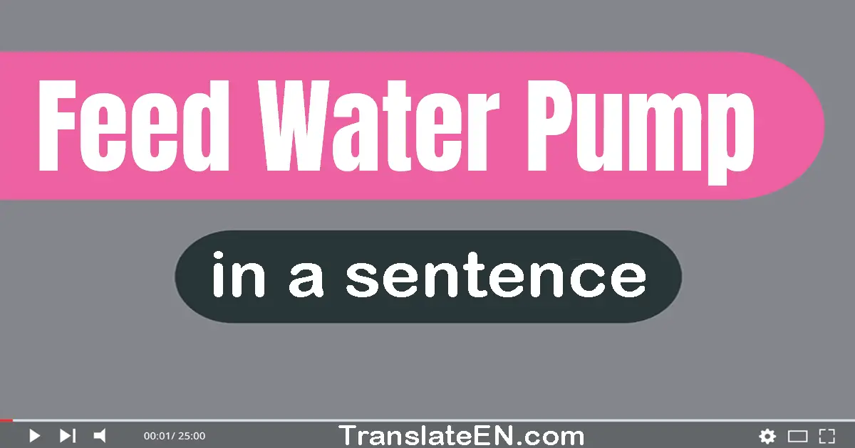 Feed Water Pump in a sentence