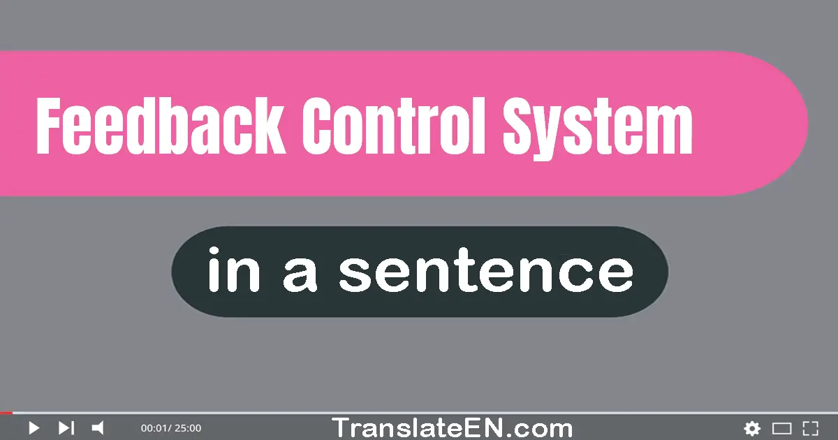 Feedback Control System in a sentence