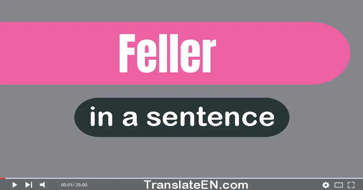 Feller in a sentence