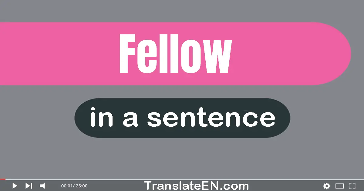 Fellow in a sentence