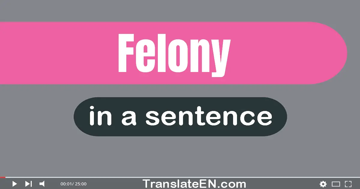 Felony in a sentence