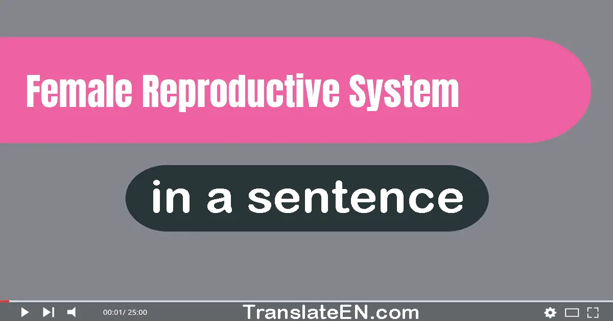 Female Reproductive System in a sentence