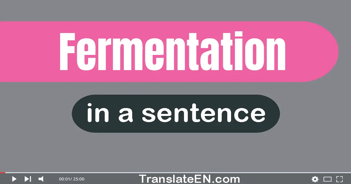 Fermentation in a sentence