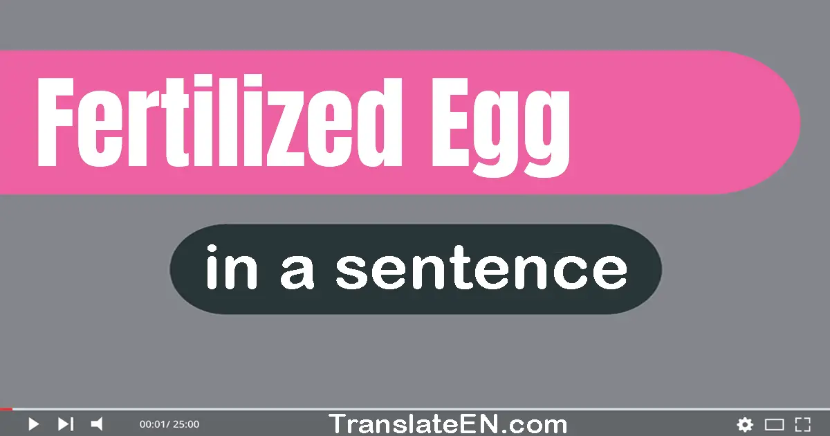 Fertilized Egg in a sentence