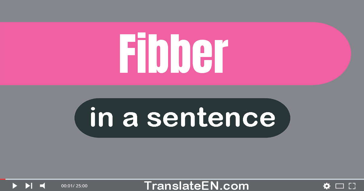 Use "fibber" in a sentence | "fibber" sentence examples
