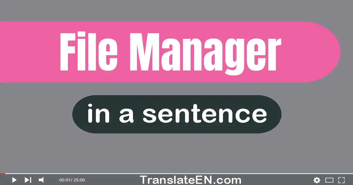 File Manager in a sentence