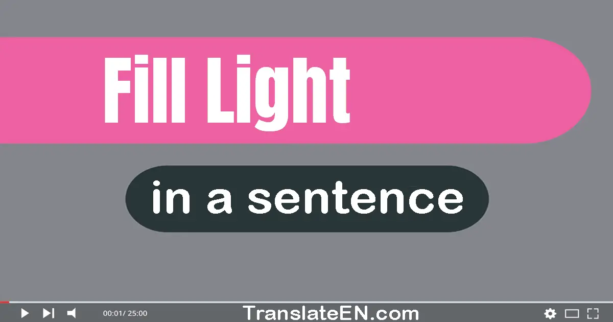 Fill Light in a sentence