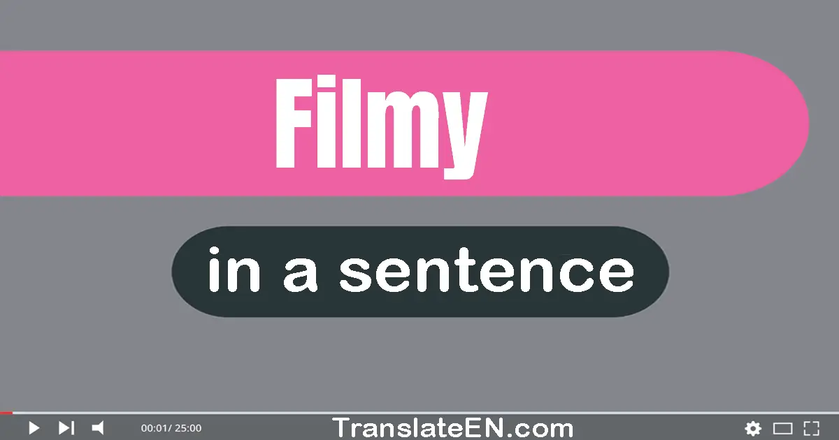 Use "filmy" in a sentence | "filmy" sentence examples