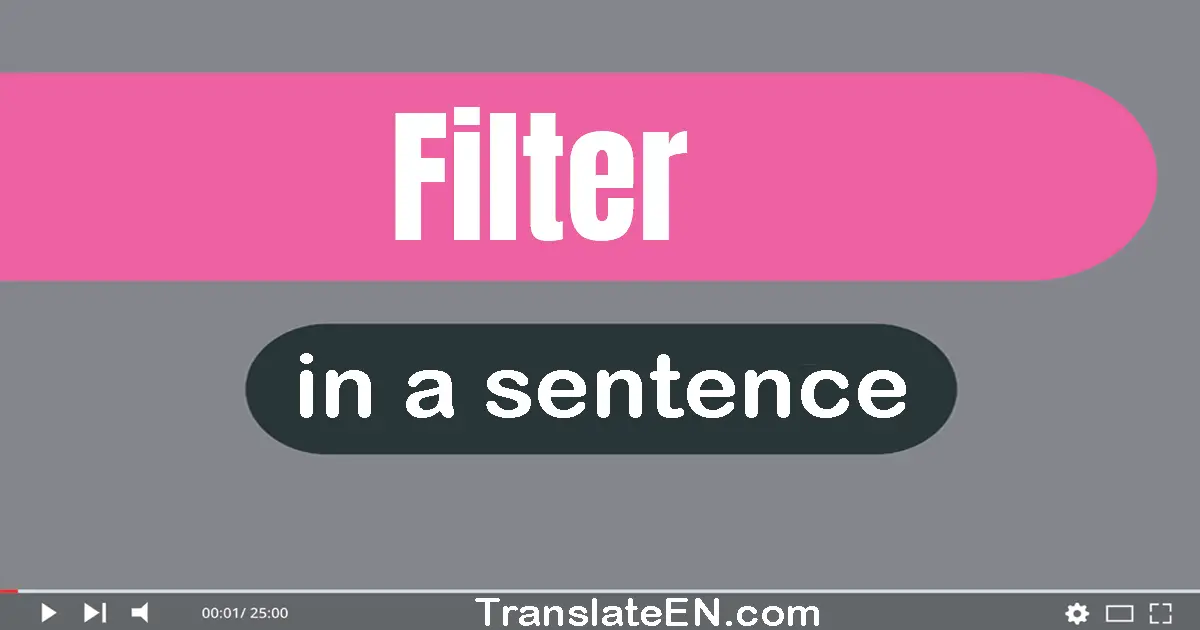 Use "filter" in a sentence | "filter" sentence examples