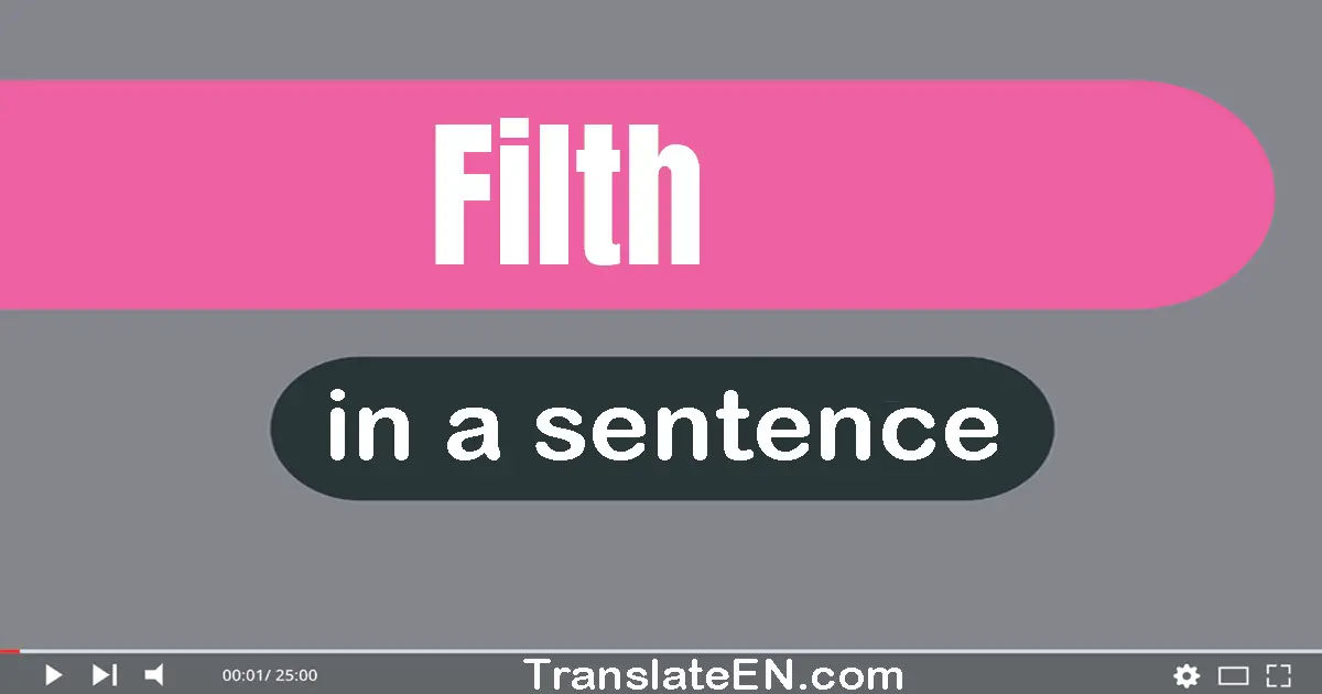 Use "filth" in a sentence | "filth" sentence examples
