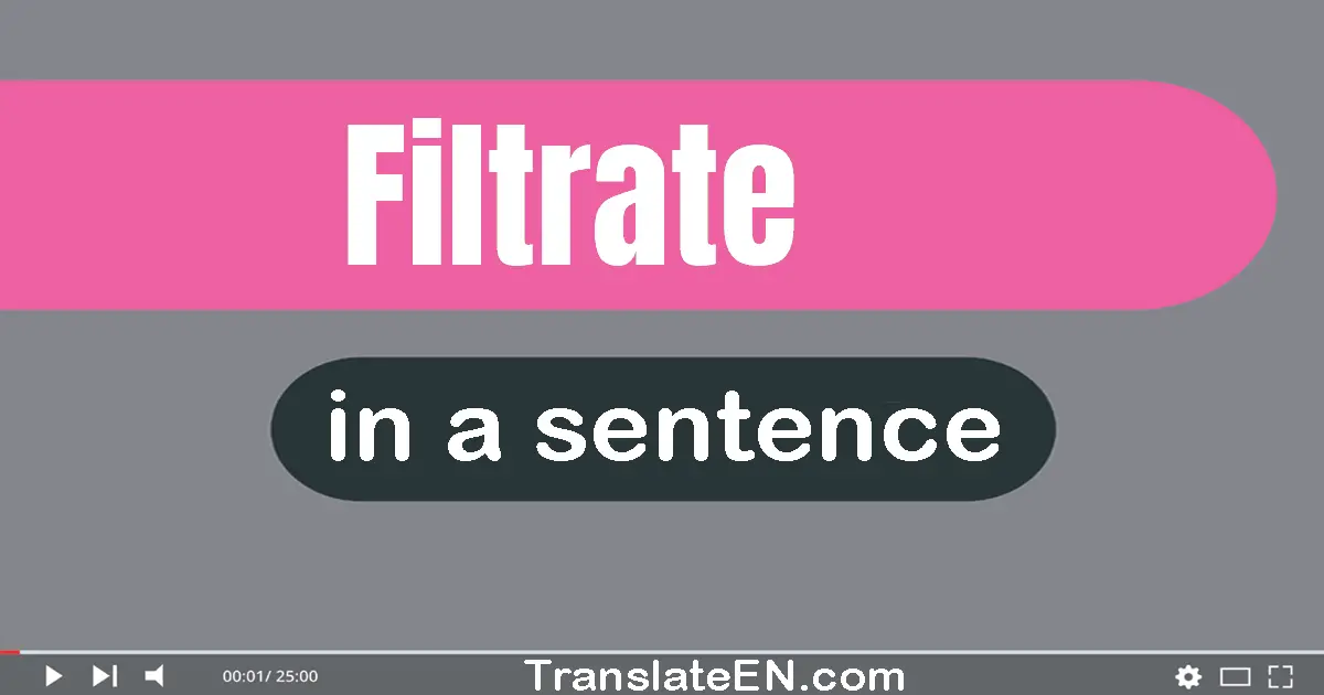 Use "filtrate" in a sentence | "filtrate" sentence examples