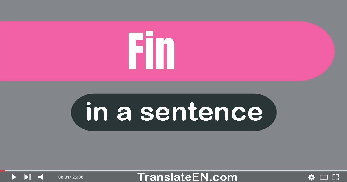 Use "fin" in a sentence | "fin" sentence examples